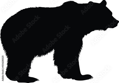 Grizzly Bear Profile Vector Silhouette Strong Majestic Nature Illustration