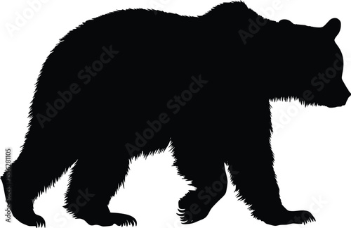 Powerful Grizzly Bear Vector Silhouette Walking Graphic