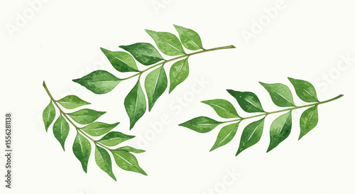 Watercolor Illustration Showcases Three Sprigs Of Vibrant Green Curry Leaves Against A Subtle Paper Texture Evoking A Sense Of Freshness And Natural Beauty