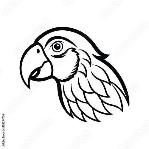 Line art illustration of a parrot's head.eps