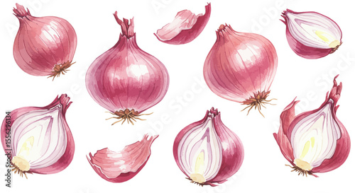 Watercolor Vector Illustration Featuring A Collection Of Whole And Sliced Shallots Against A Clean White Backdrop Creating A Vibrant And Fresh Visual Impact