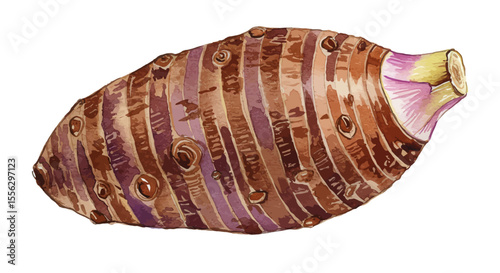 Detailed Watercolor Illustration Features A Taro Root Showcasing Its Textured Brown And Purple Skin And Light Yellow Sprout Against A Clean White Backdrop