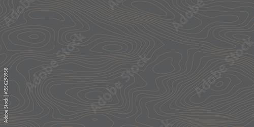 Abstract topographic contours map background, Vector geographic contour map Topographic patterns Vintage outdoors style. World map Template. 