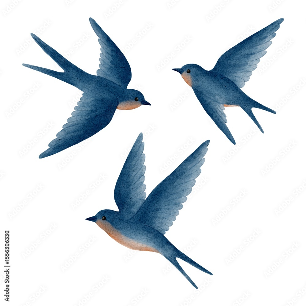 Obraz premium Watercolour set of blue swallows on white background