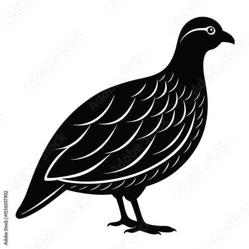 Quail silhouette icon vector on white background