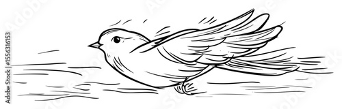 flying bird sketch hand drawn line vector illustration