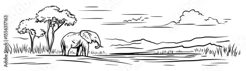 african savanna with elephant and acacia trees vector line sketch