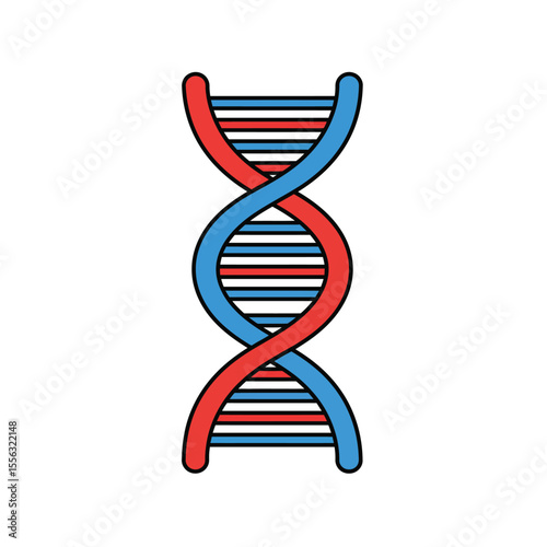 dna strand on white background