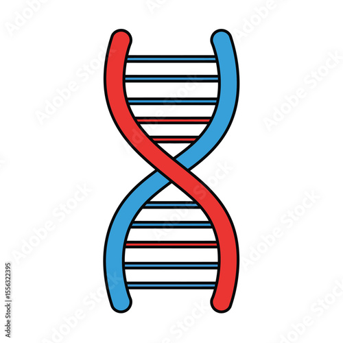 dna strand on white background