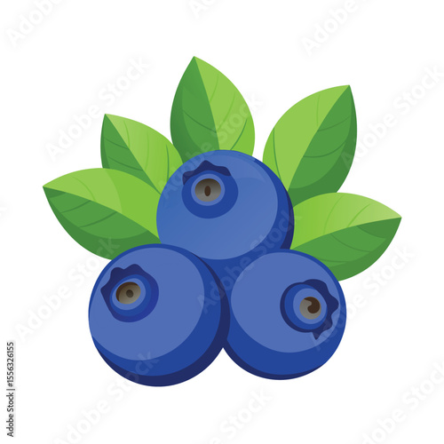 Watercolor Blueberries Fruits Vector Collection.