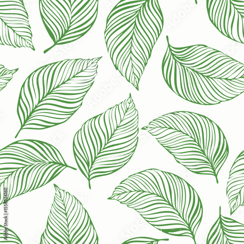 Seamless Tropical Leaf Pattern Vector - Green Banana Leaves Background Illustration