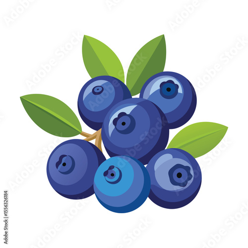 Watercolor Blueberries Fruits Vector Collection.