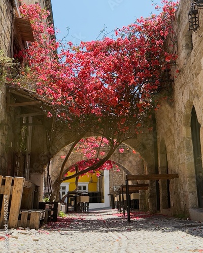 Fototapeta Enchanting stone walkway lined with pink bougainvillaea flowers, creating a char