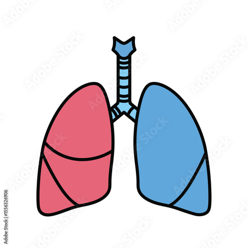 vector illustration of human organs