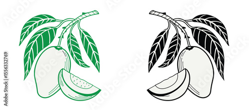 Mango icon vector set illustration. set vector illustration outline mango silhouette. mango with leaf.