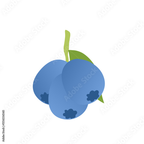 Blueberry fruit illustration. Fresh blueberry fruit flat design. Blueberry fruit illustration with green leaves 