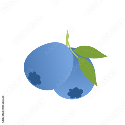 Blueberry fruit illustration. Fresh blueberry fruit flat design. Blueberry fruit illustration with green leaves 