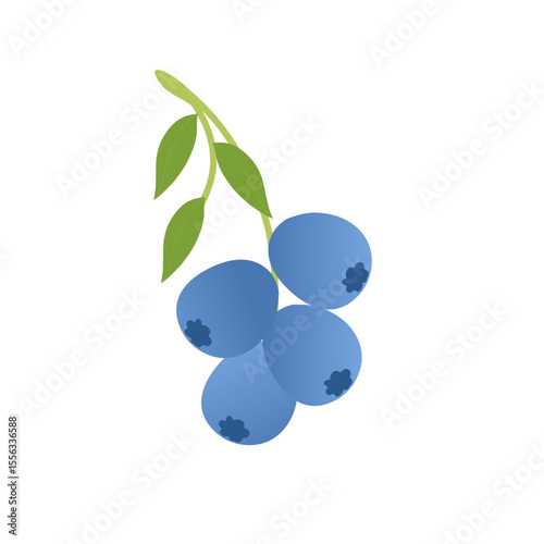 Blueberry fruit illustration. Fresh blueberry fruit flat design. Blueberry fruit illustration with green leaves 