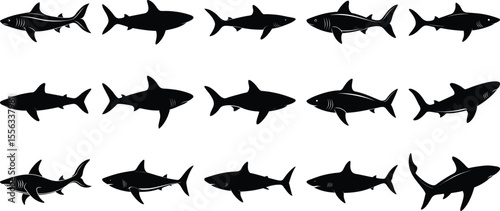 silhouette of a shark vector Bundle, on white background.
