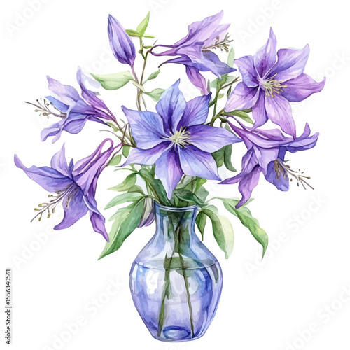 A Columbine In A Vase, watercolor drawing vector, isolated on a white background.