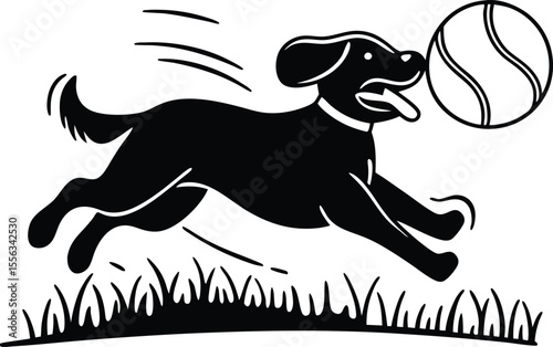 Dog playing with ball