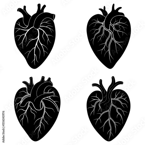 Four anatomical heart illustrations in black and white showing veins and arteries in detail and formated