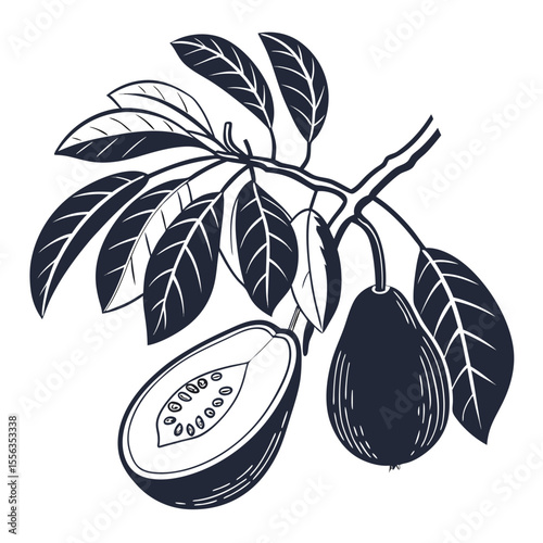 brazilian guava with leaves