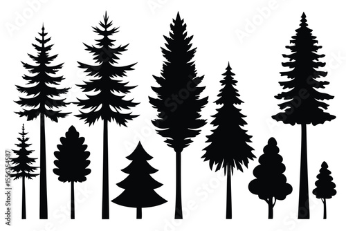 Collection of silhouettes various evergreen trees forest nature