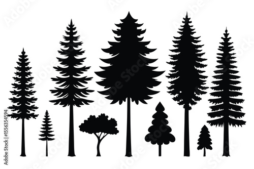 Collection of silhouettes various evergreen trees conifers