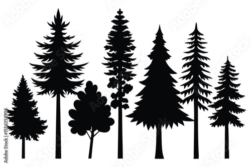 Silhouettes of various evergreen and deciduous trees