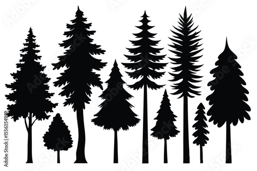 Silhouettes of various evergreen trees in a forest