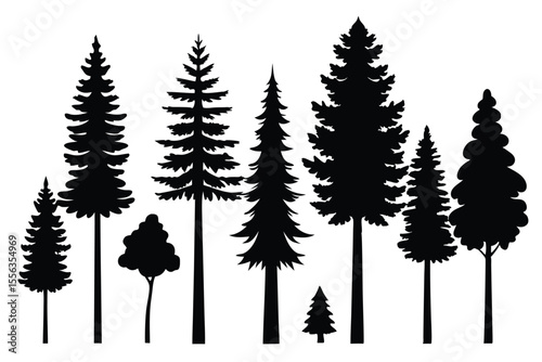 Silhouettes of various evergreen and deciduous trees
