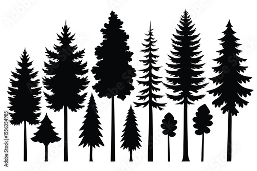 Silhouettes of various evergreen trees in a forest