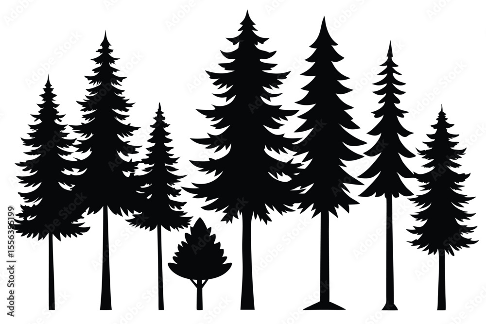 Obraz premium Silhouettes of various evergreen trees in a row