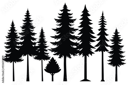 Silhouettes of various evergreen trees in a row