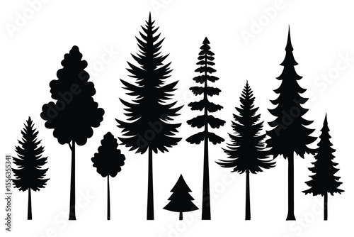Silhouettes of various evergreen and deciduous trees