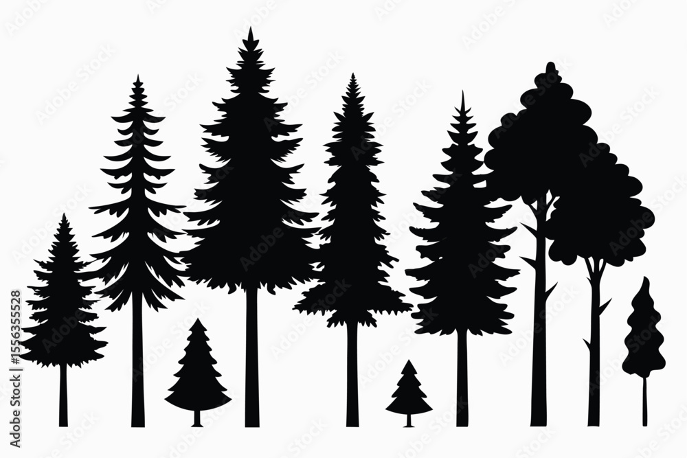 Obraz premium Silhouettes of various evergreen and deciduous trees