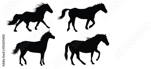 Collection of horse silhouettes set vector illustration. isolated on white background