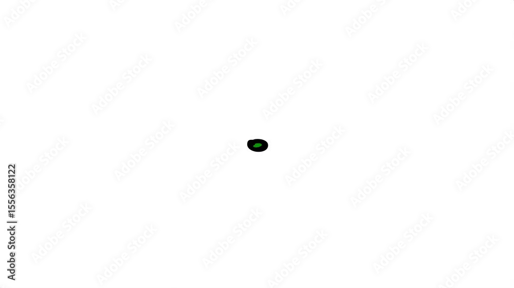 A black and white photo of background image green ball circle with screen leaf on it clock bird apple green screen animated chromakey background gesture emotion motion elements layers
