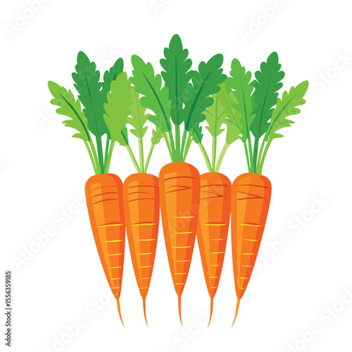 Carrot vegetable icon set. carrots and carrot vector art illustration isolated on white background.