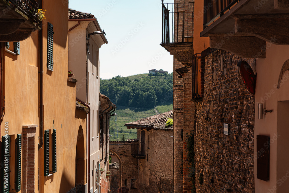 Obraz premium Buldings in Neive Piemonte