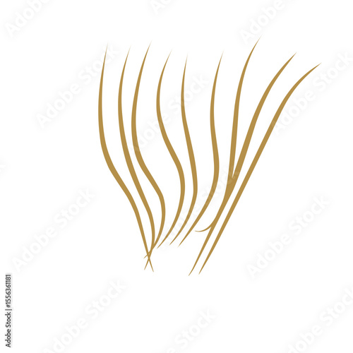  strands of light brown hair