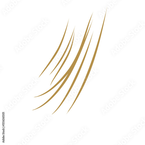 strands of light brown hair