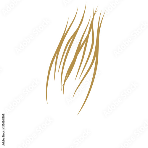  strands of light brown hair