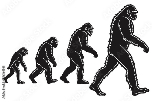 Evolutionary Stages of Primates