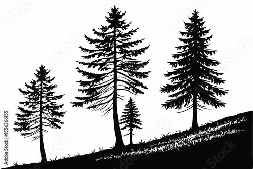 Silhouette of Three Pine Trees on a Hillside