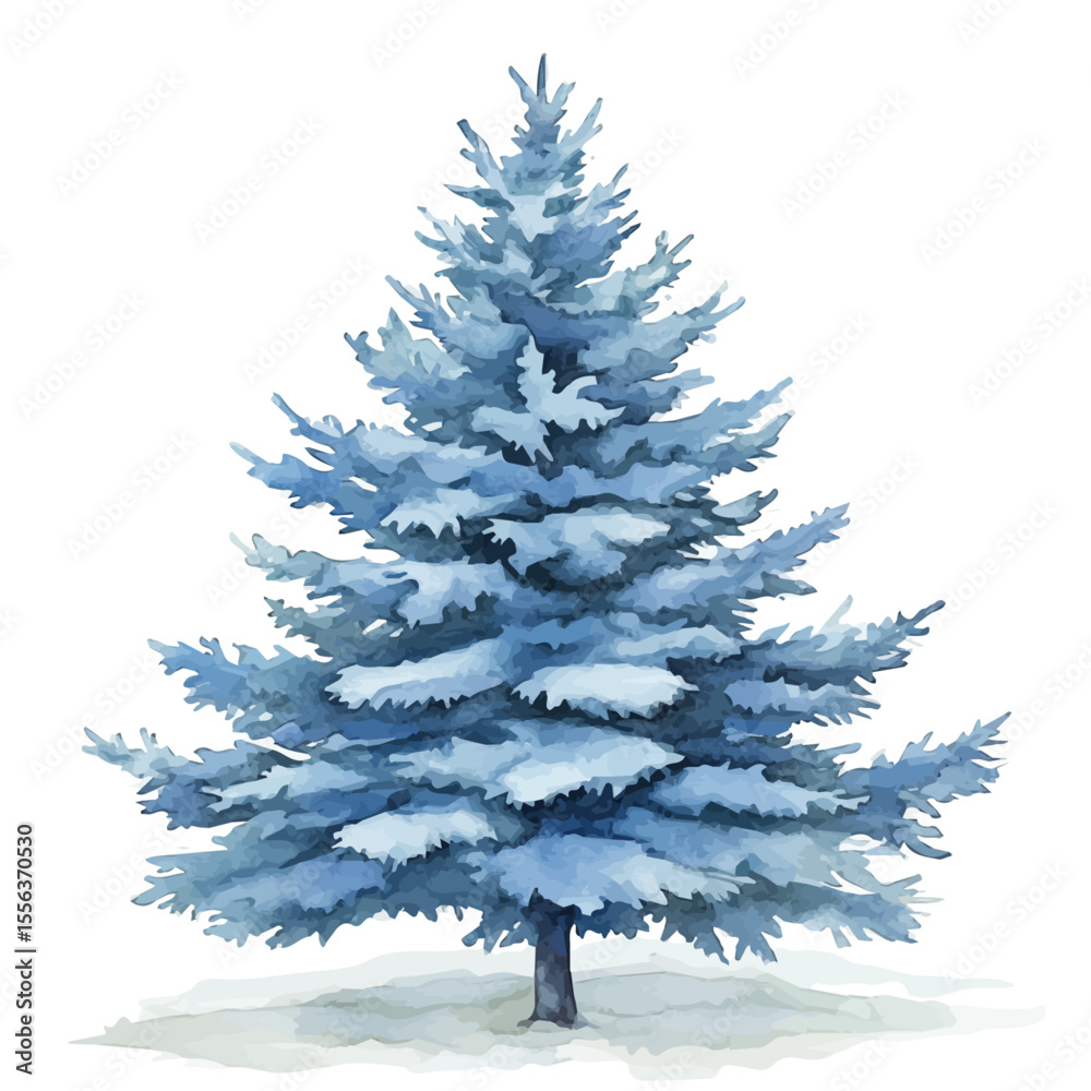 Obraz premium A Blue Spruce Tree, watercolor painting vector, isolated on a white background.