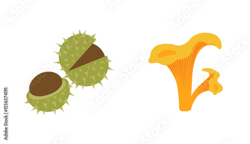 Fall season flat Icons: mushroom, chestnuts in modern vector style. Hand drawn set for banners, cards, social media
