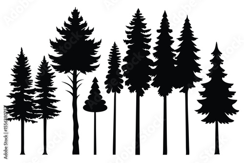 Silhouettes of various evergreen trees in a forest