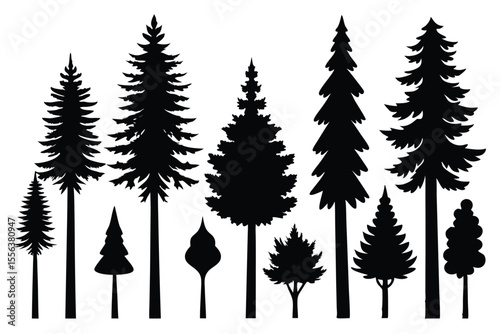 Collection of silhouettes various evergreen trees forest